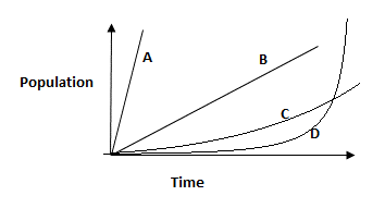 Line Chart Questions