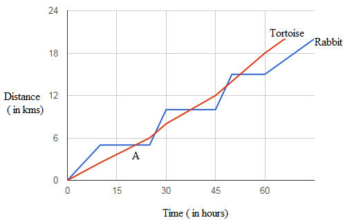 Line Chart Questions