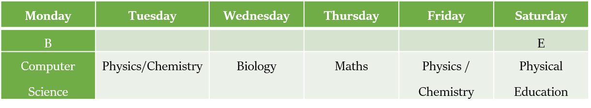 Scheduling Puzzles