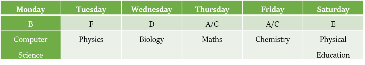 Scheduling Puzzles